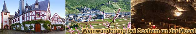 Weinwanderung an der Mosel zu jedem gewnschten Termin fr Gruppen von 6 bis 55 Personen bei Ellenz-Poltersdorf mit Weinprobe im Weingut fr Gruppen von 8 bis 30 Personen als Wein- und Erlebnistour bei Cochem mit Weinprobe im Weinberg